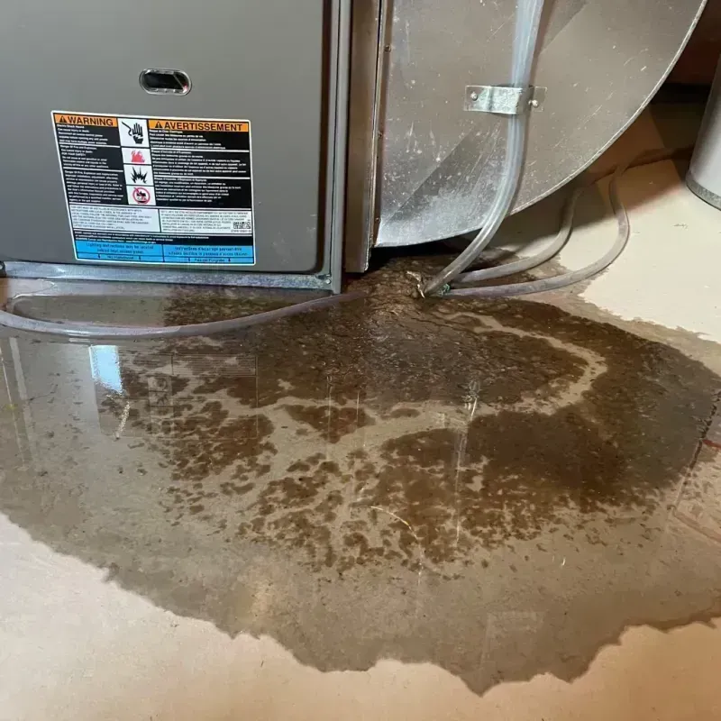 Appliance Leak Cleanup in Van Buren, MO